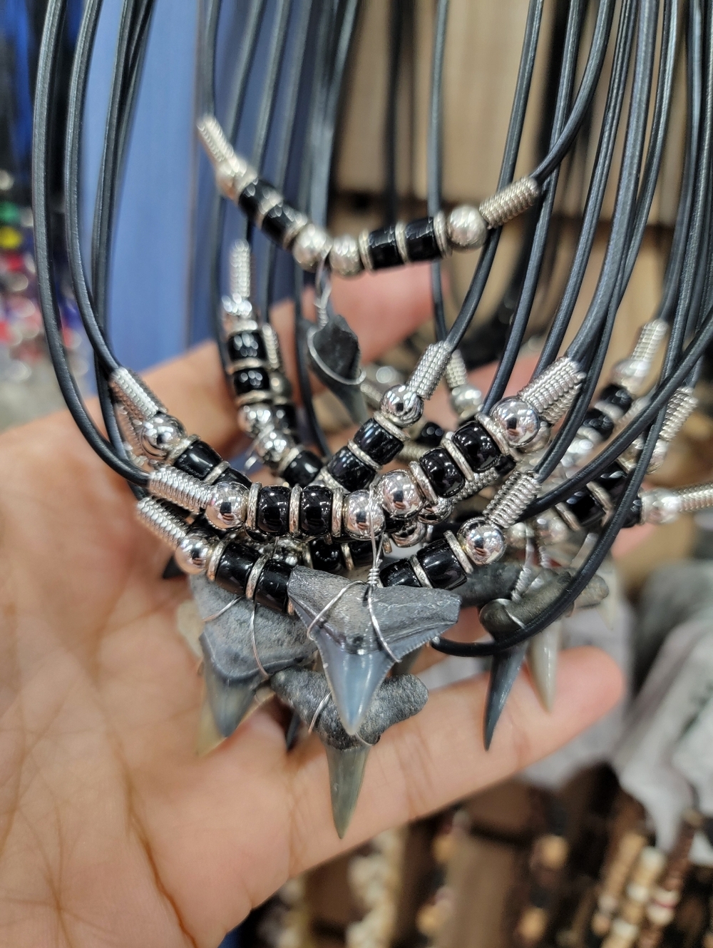 Black Shark Tooth Pendant Necklace